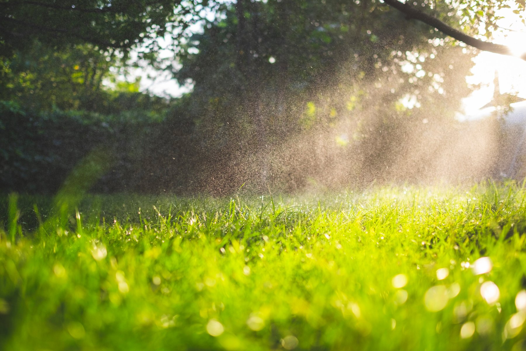 New research suggests that rain-induced soil carbon losses are widely underestimated