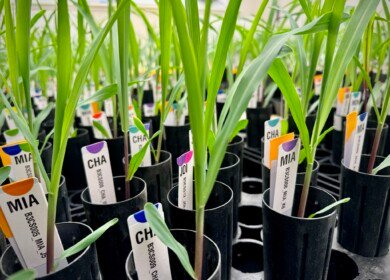 Switch Bioworks strengthens leadership team and relocates to larger R&D facility