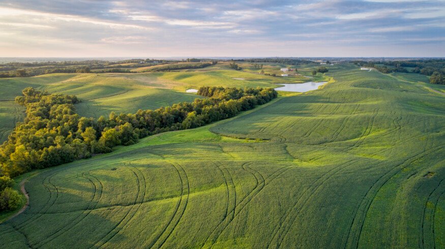 Missouri farmer turns swamp ground into thriving row crop operation