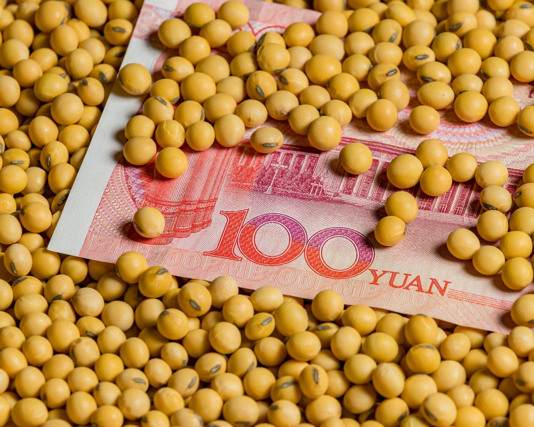 China buys more Argentine soybeans after tax cut, sidelining US suppliers