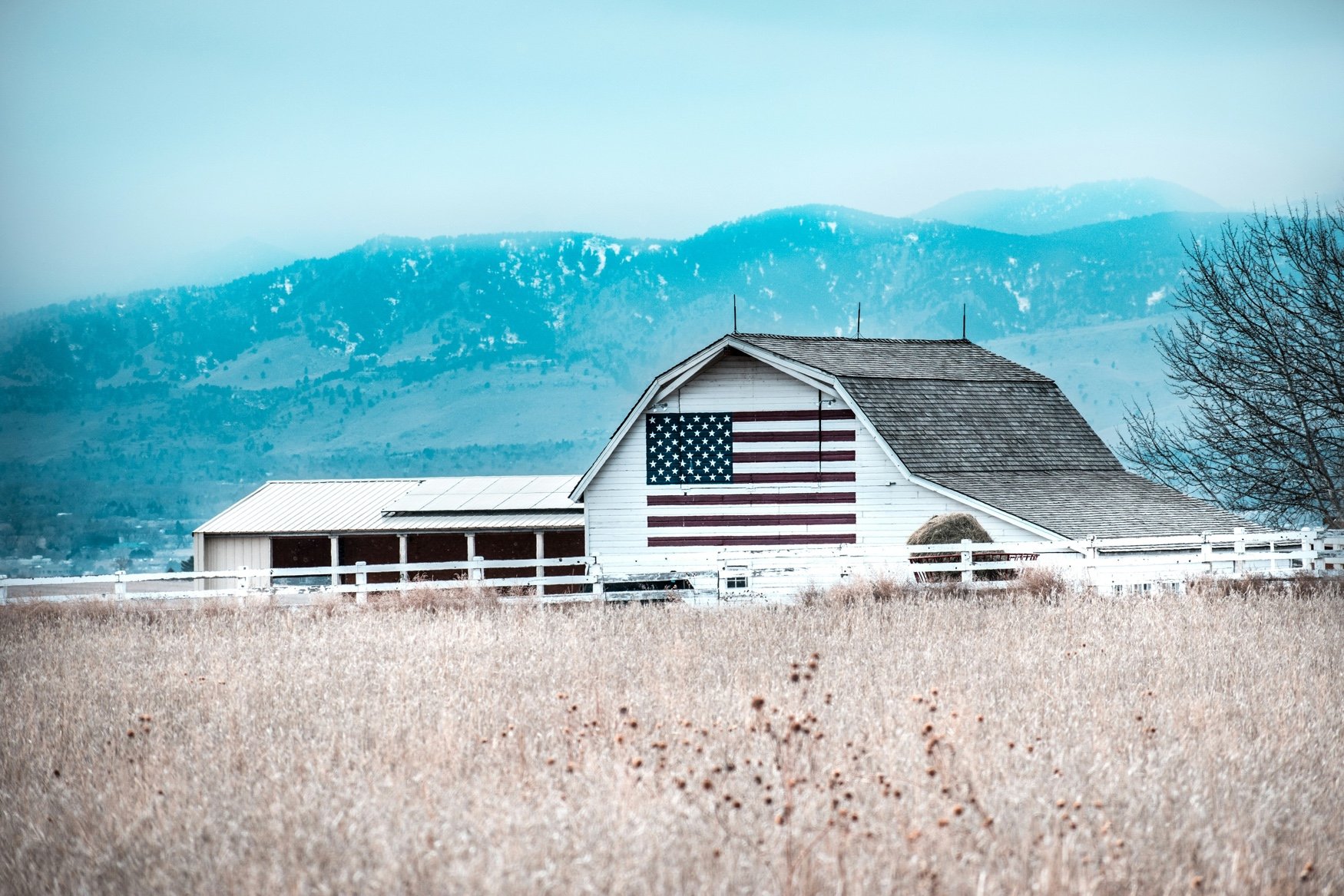 USDA launches expanded farm to school grants with record $18 million funding
