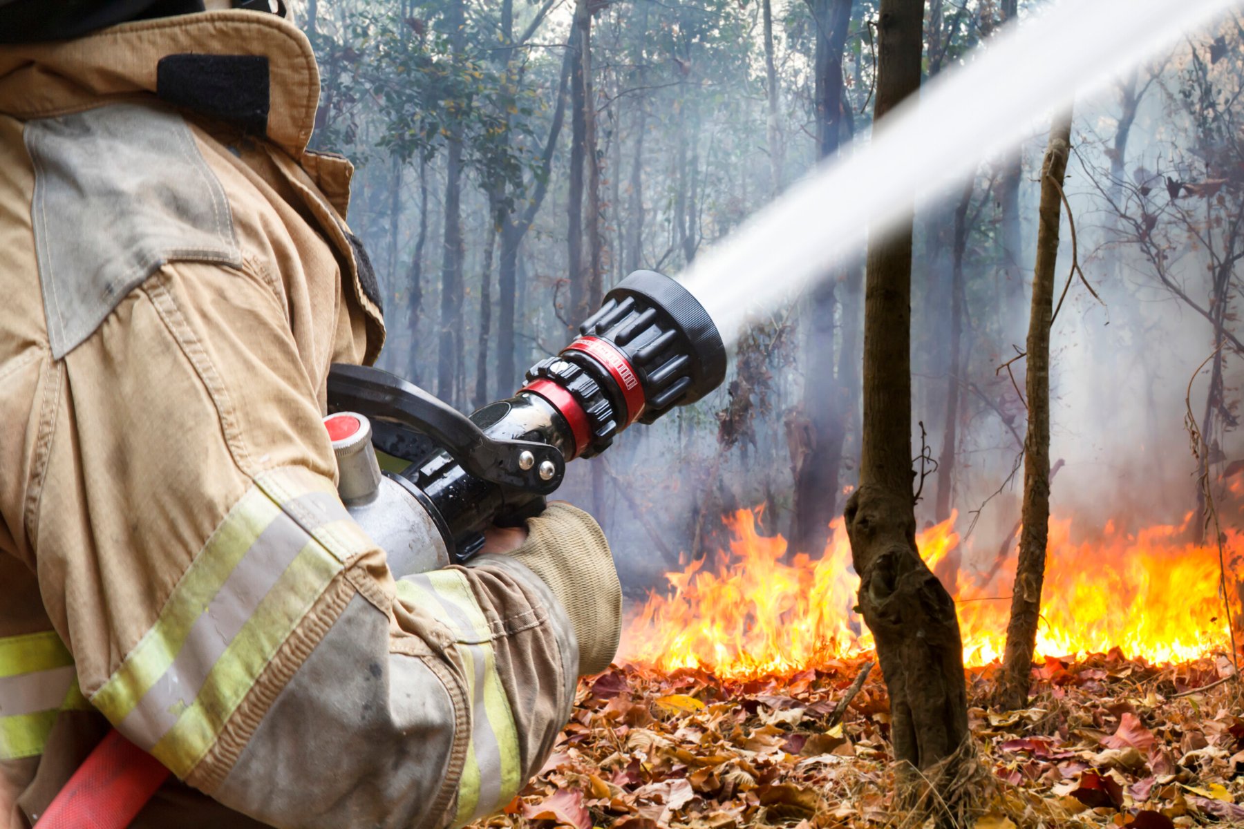 USDA commits $200 million to community wildfire defense projects