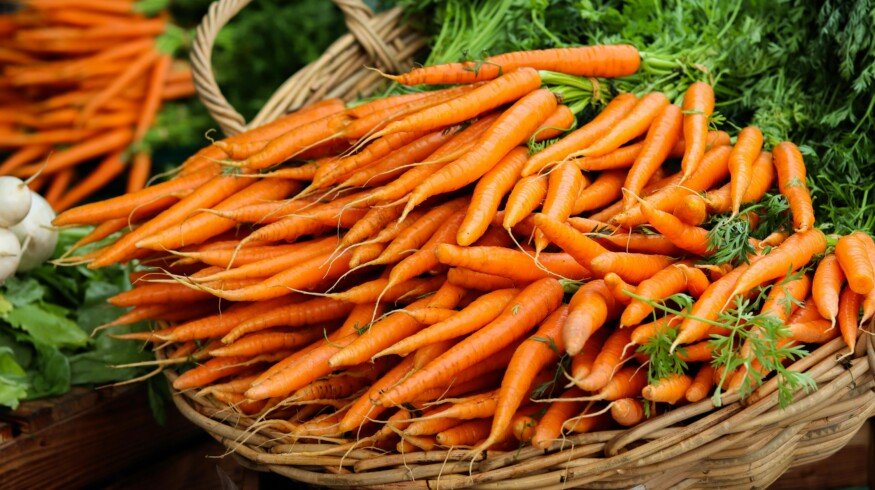 From homestead to income: How small-scale farmers can discover new revenue streams