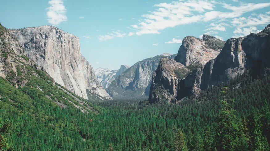 USDA commits $8 million to new forest health and wildfire resilience projects