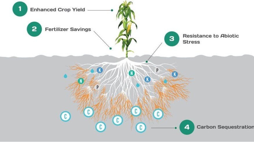Groundwork BioAg and Anew Climate partner to commercialize 500,000 tons of durable soil carbon credits