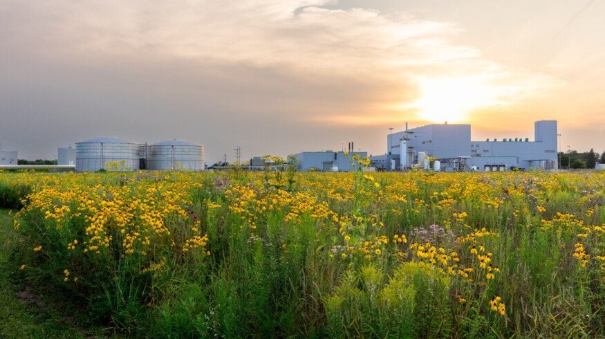 Sumitomo Chemical to merge Valent BioSciences, MGK and Valent North America into new global biorational business