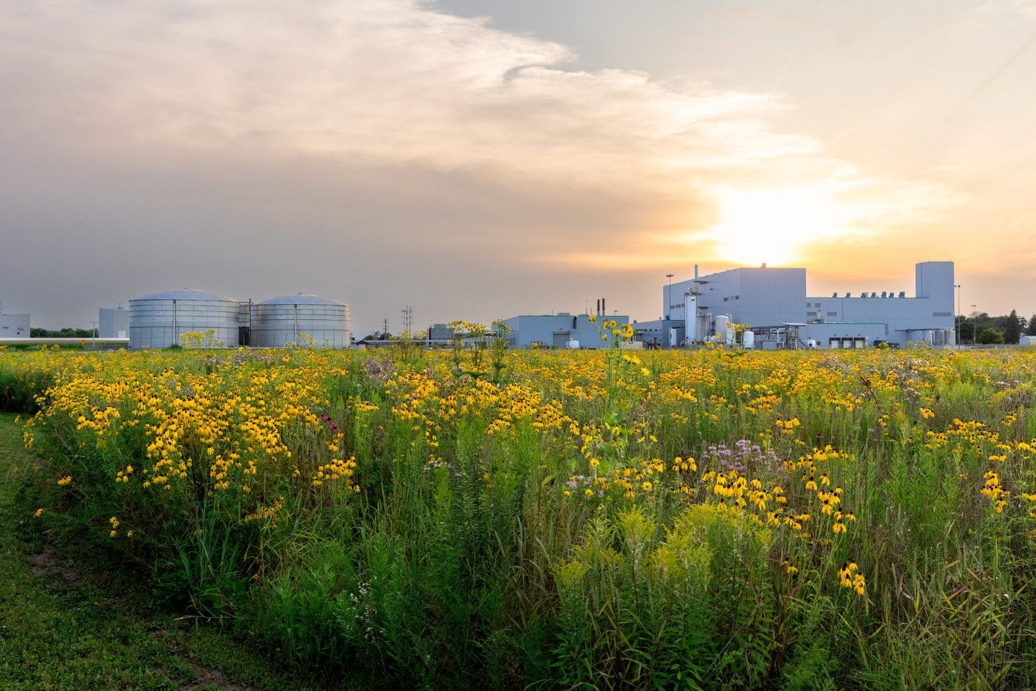 Sumitomo Chemical to merge Valent BioSciences, MGK and Valent North America into new global biorational business