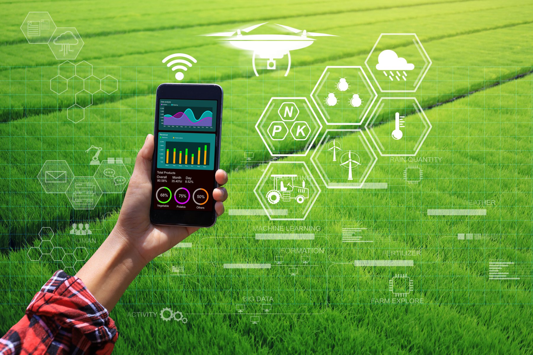 Global study finds fertilizer response remains hard to predict despite precision tools