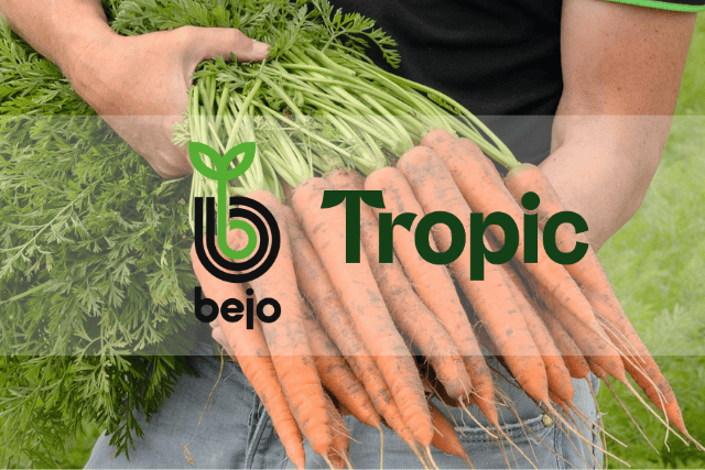 Bejo and Tropic Biosciences form alliance to develop disease-resistant carrots