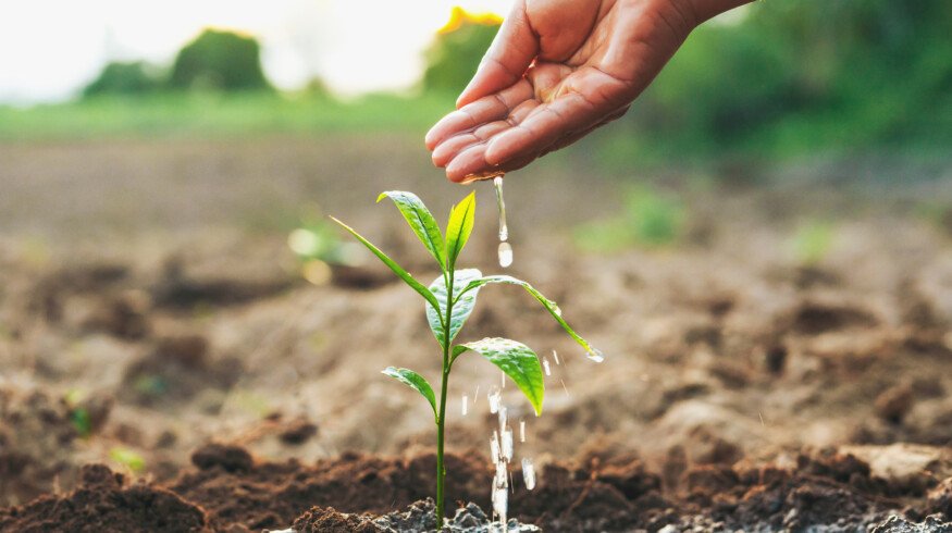 For Farmers Movement opens early nominations for annual grant program