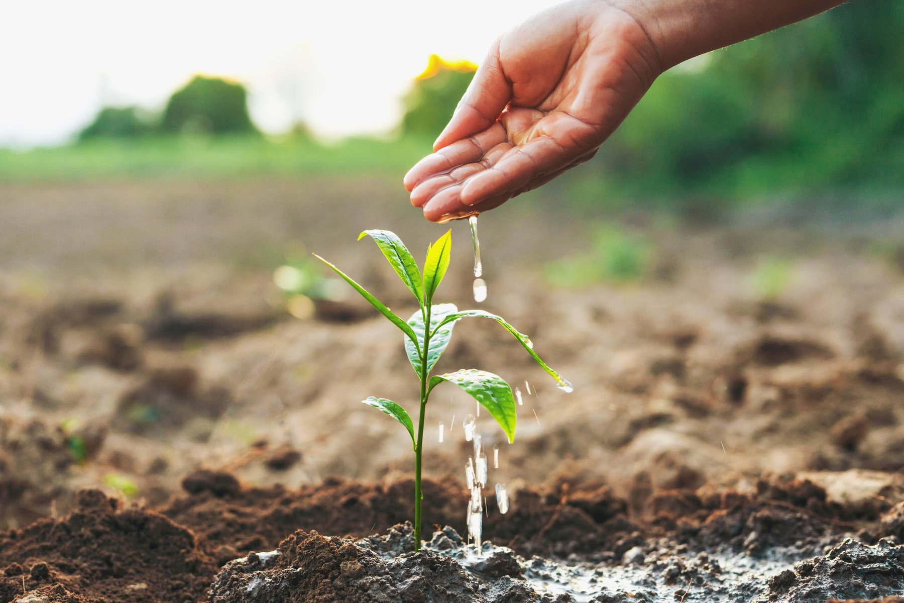 For Farmers Movement opens early nominations for annual grant program