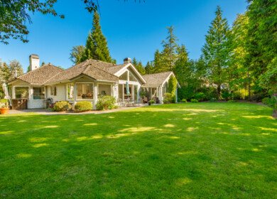 How to take care of your lawn in winter