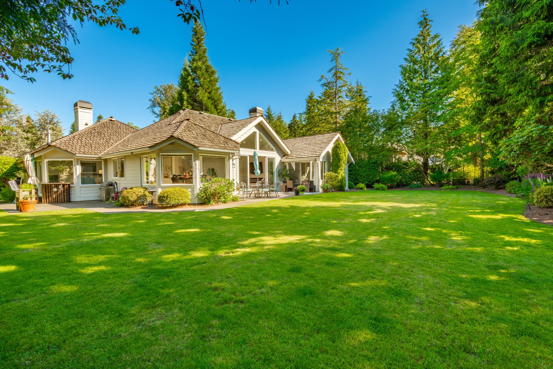How to take care of your lawn in winter