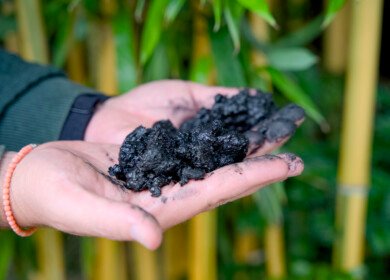 Study finds biochar makes composting more climate-friendly