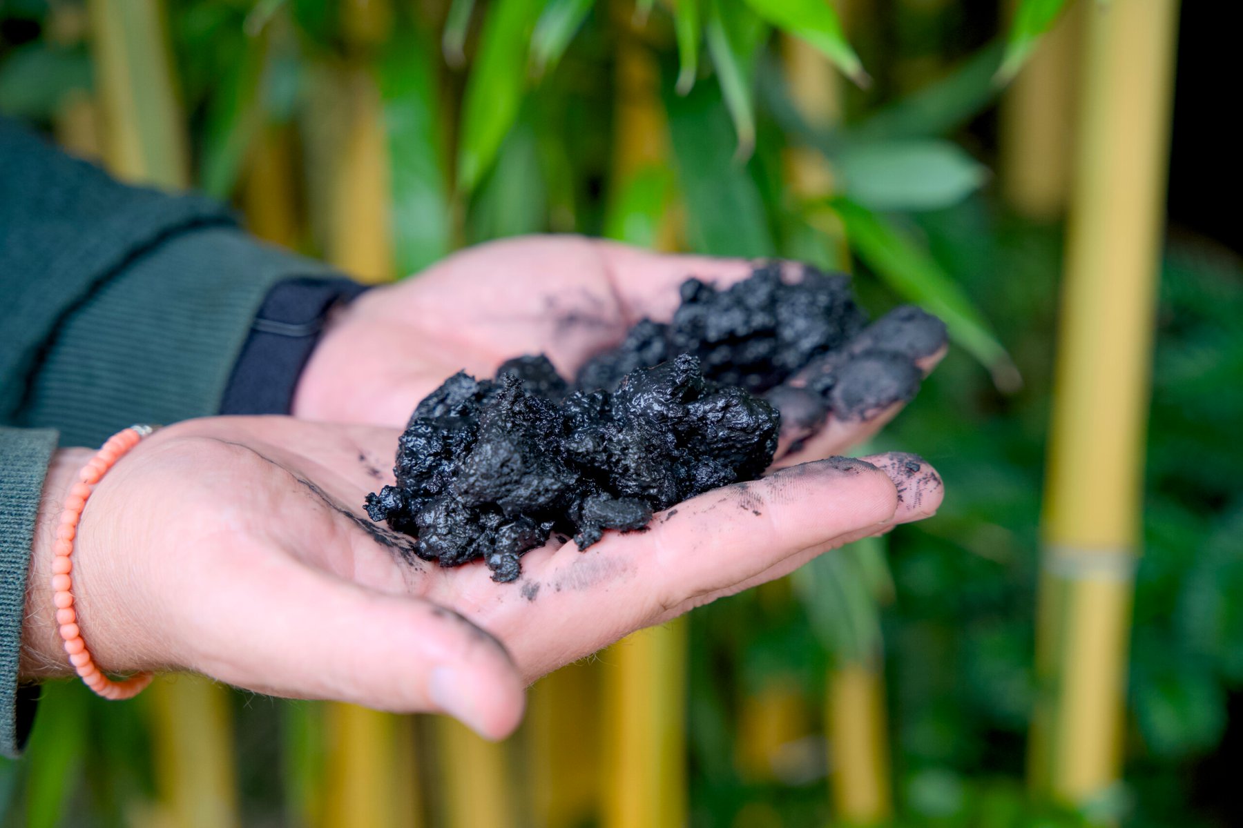 Study finds biochar makes composting more climate-friendly