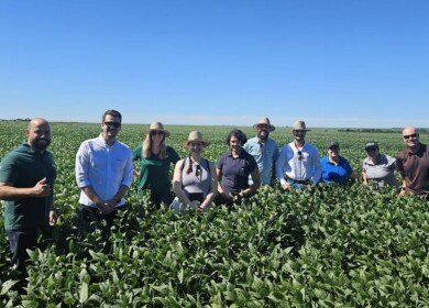 PepsiCo and Griffith Foods launch regenerative agriculture financing model in Brazil
