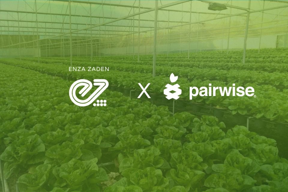 Enza Zaden licenses Pairwise gene-editing platform to accelerate vegetable breeding