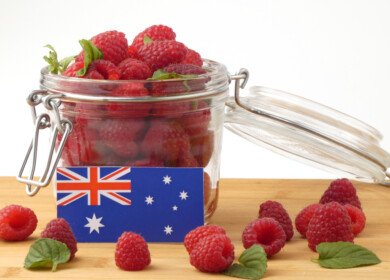 Australia suspends dimethoate use on berries after safety-margin review