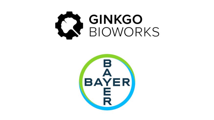 Ginkgo Bioworks and Bayer extend partnership to advance microbial fertilizer technologies