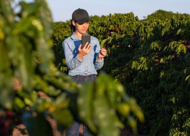Syngenta opens Cropwise platform to external developers allowing to use its agronomic models and AI