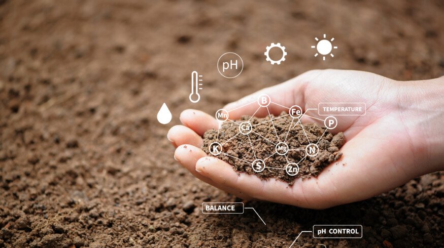 Chemical balance proves crucial to healthy soil systems