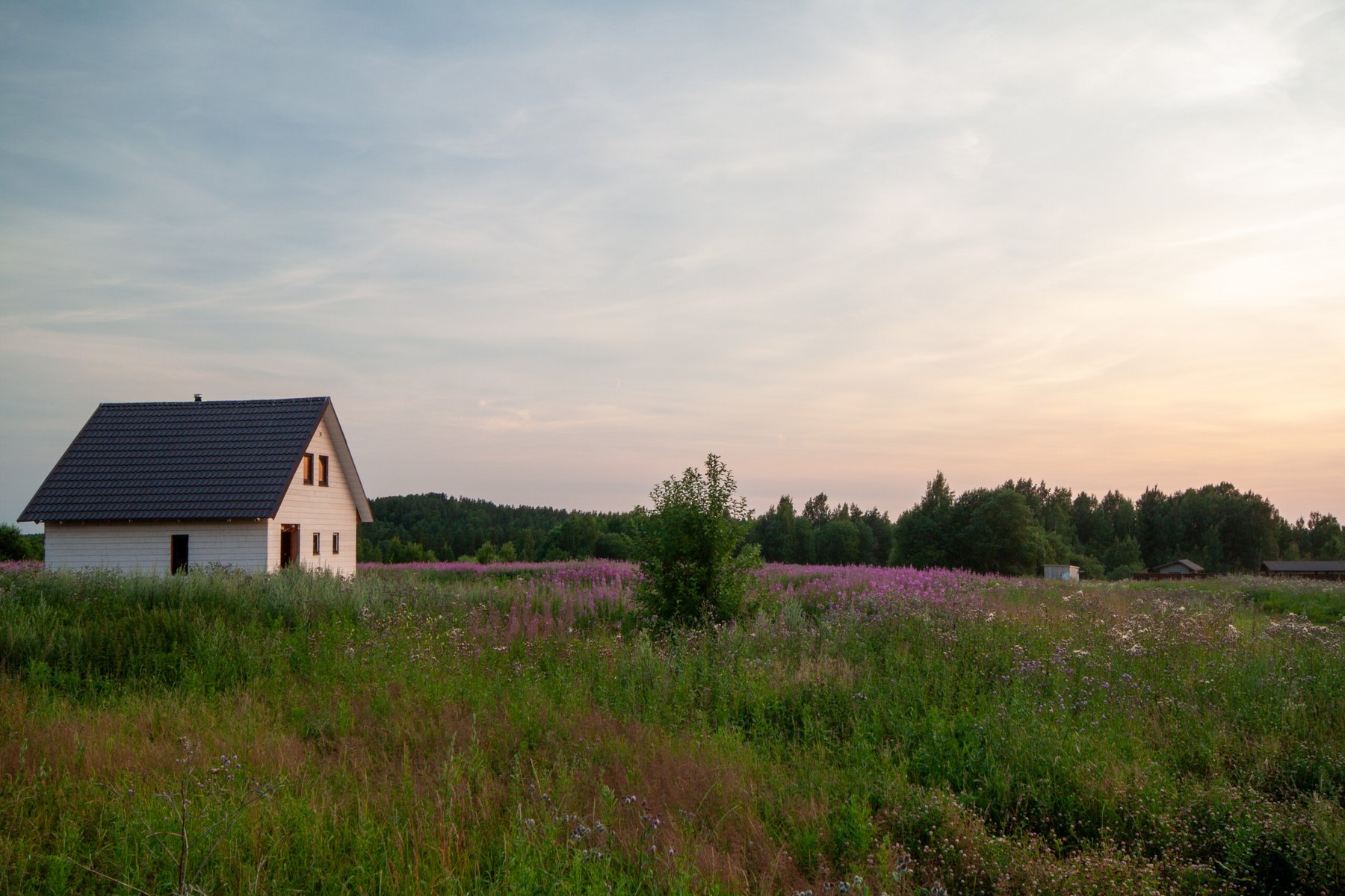 A serene landscape featuring a thatched roof house and flower field at sunset with a clear blue sky in the background.