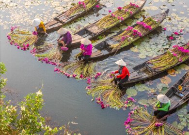 Uralchem introduces nutrition systems for tropical crops in Vietnam