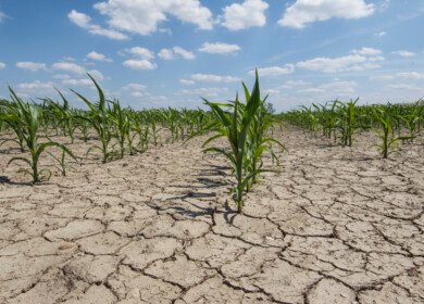 Brazil’s first arid zone emerges in the northeast, raising alarms over climate risks nationwide