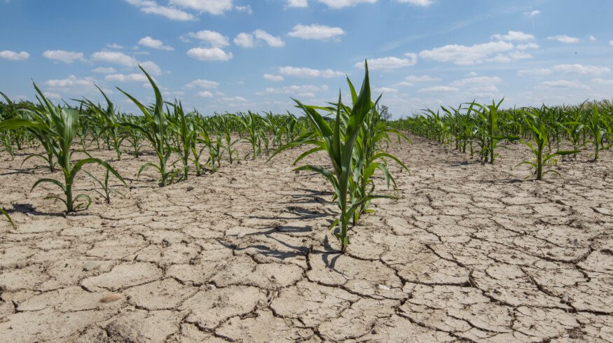 Brazil’s first arid zone emerges in the northeast, raising alarms over climate risks nationwide