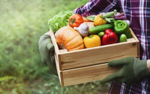 Researchers say rising CO₂ levels make food more caloric but less nutritious