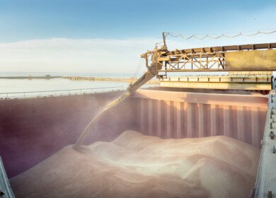 Russia sets 20 million tons grain export quota for the first half of 2026