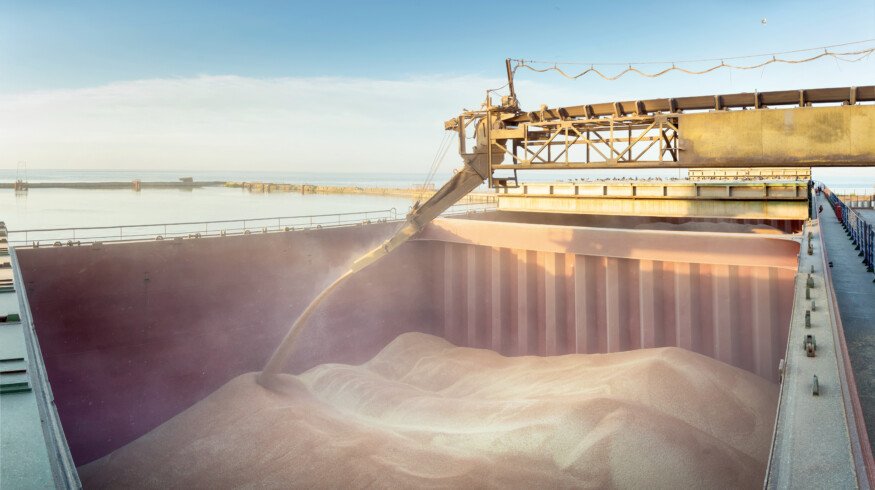 Russia sets 20 million tons grain export quota for the first half of 2026