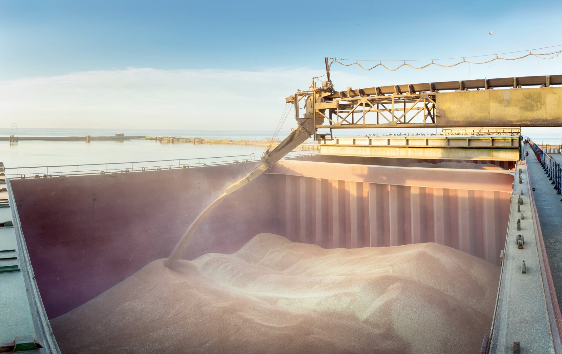 Russia sets 20 million tons grain export quota for the first half of 2026
