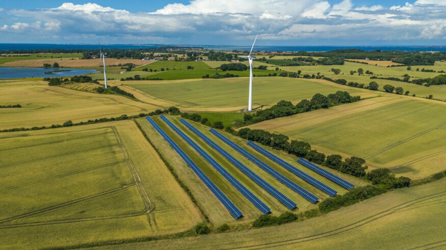 Researchers map Denmark’s environmental microbiome for the first time