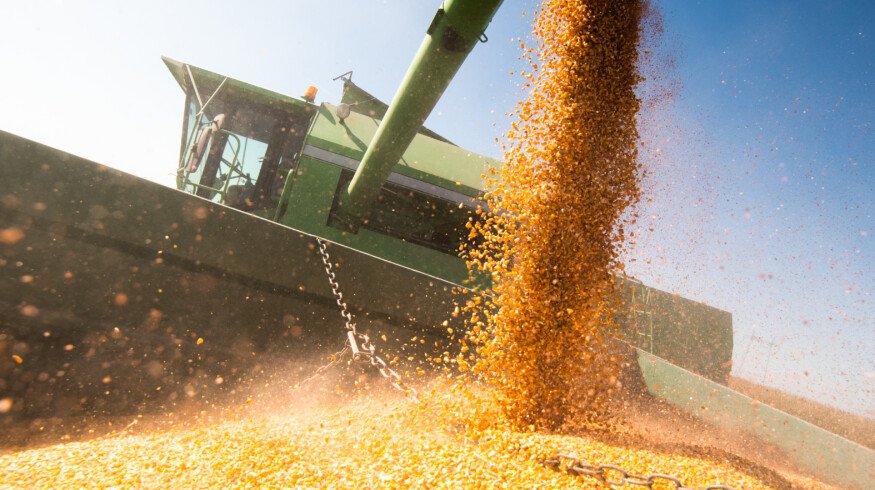 USDA expands access to federal crop insurance and simplifies rules for farmers and ranchers