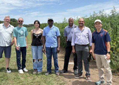 First US field trial tests biosolids as fertilizer for industrial hemp