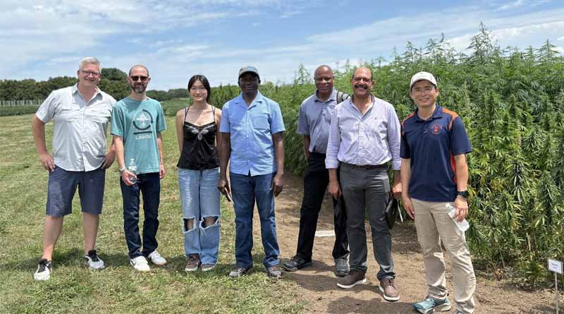 First US field trial tests biosolids as fertilizer for industrial hemp