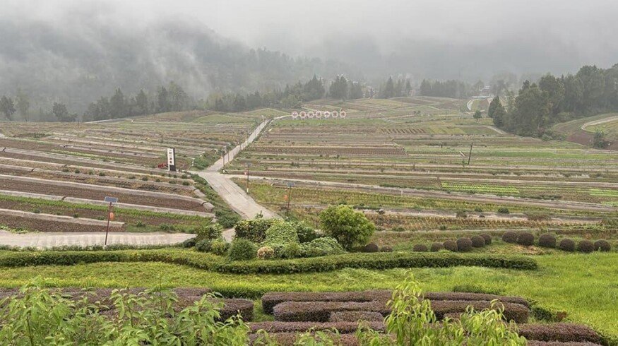 ADB approves dual loans to support climate-smart agriculture and coastal resilience in China