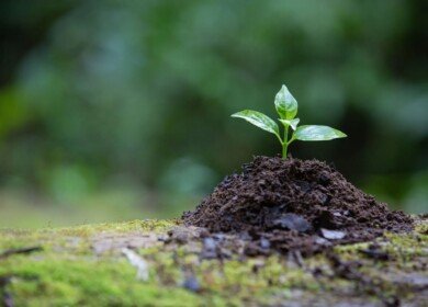Ancient Organics patents microbial solution to detoxify glyphosate