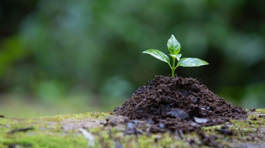 Ancient Organics patents microbial solution to detoxify glyphosate