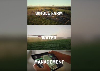 Lindsay Corporation lands $80 million MENA irrigation contract