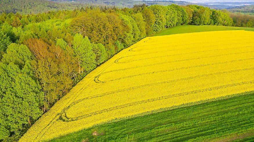 Corteva and Hexagon Bio form multimillion-dollar joint venture to advance nature-inspired crop protection