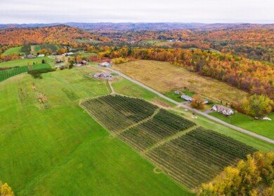 USDA sets per-acre payment rates under Farmer Bridge Assistance Program