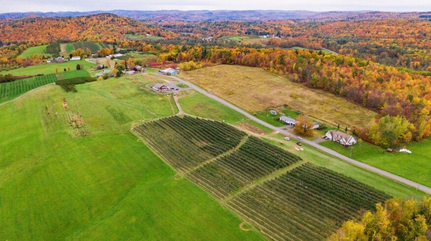 USDA sets per-acre payment rates under Farmer Bridge Assistance Program
