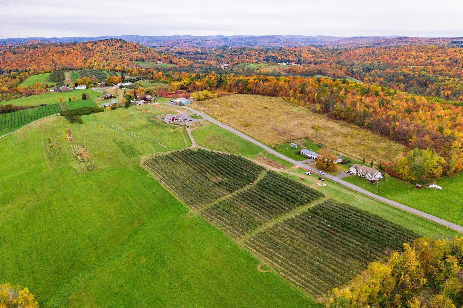 USDA sets per-acre payment rates under Farmer Bridge Assistance Program