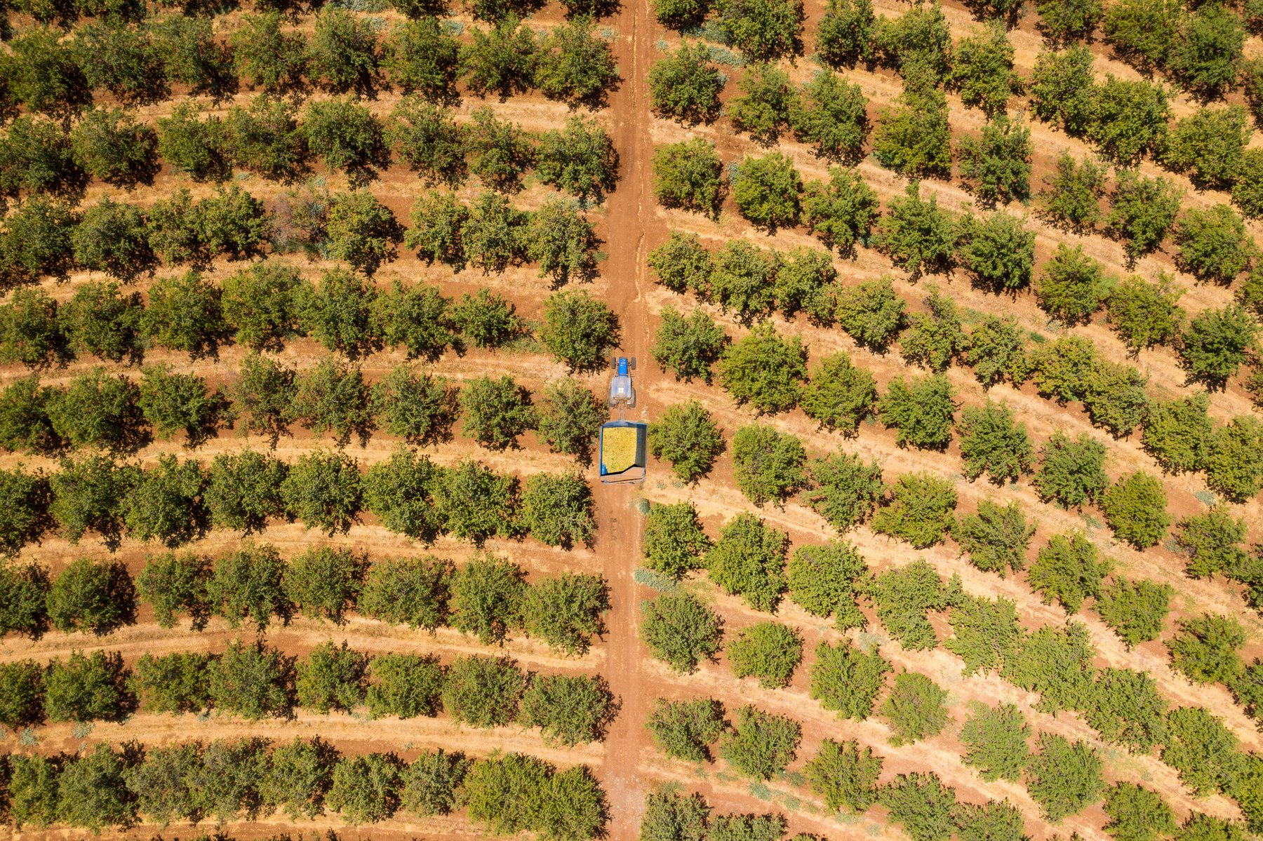 Ceres AI deepens integration with John Deere Operations Center