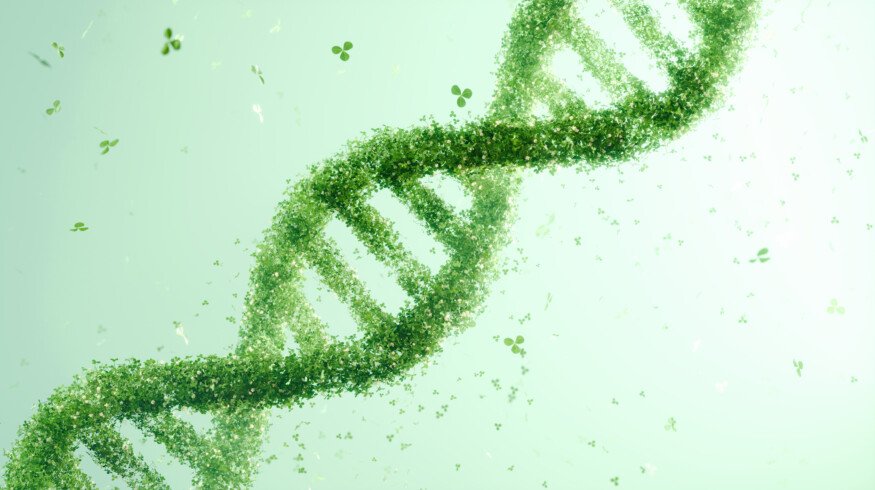 Discovery that plants tap bacteria-like genes to produce alkaloids may open new paths for crop protection products
