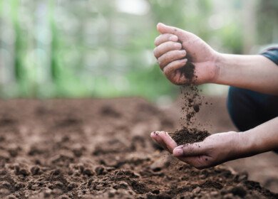 Soil ecoacoustics offers new way to monitor ecosystem health