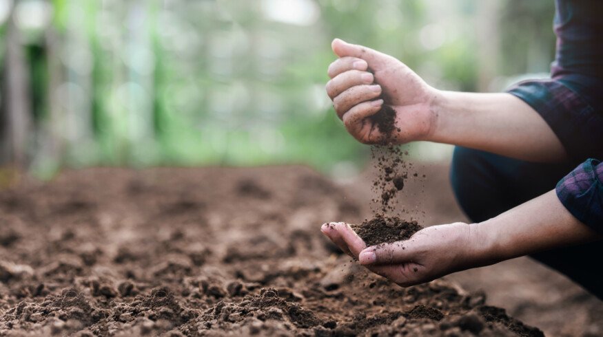 Soil ecoacoustics offers new way to monitor ecosystem health