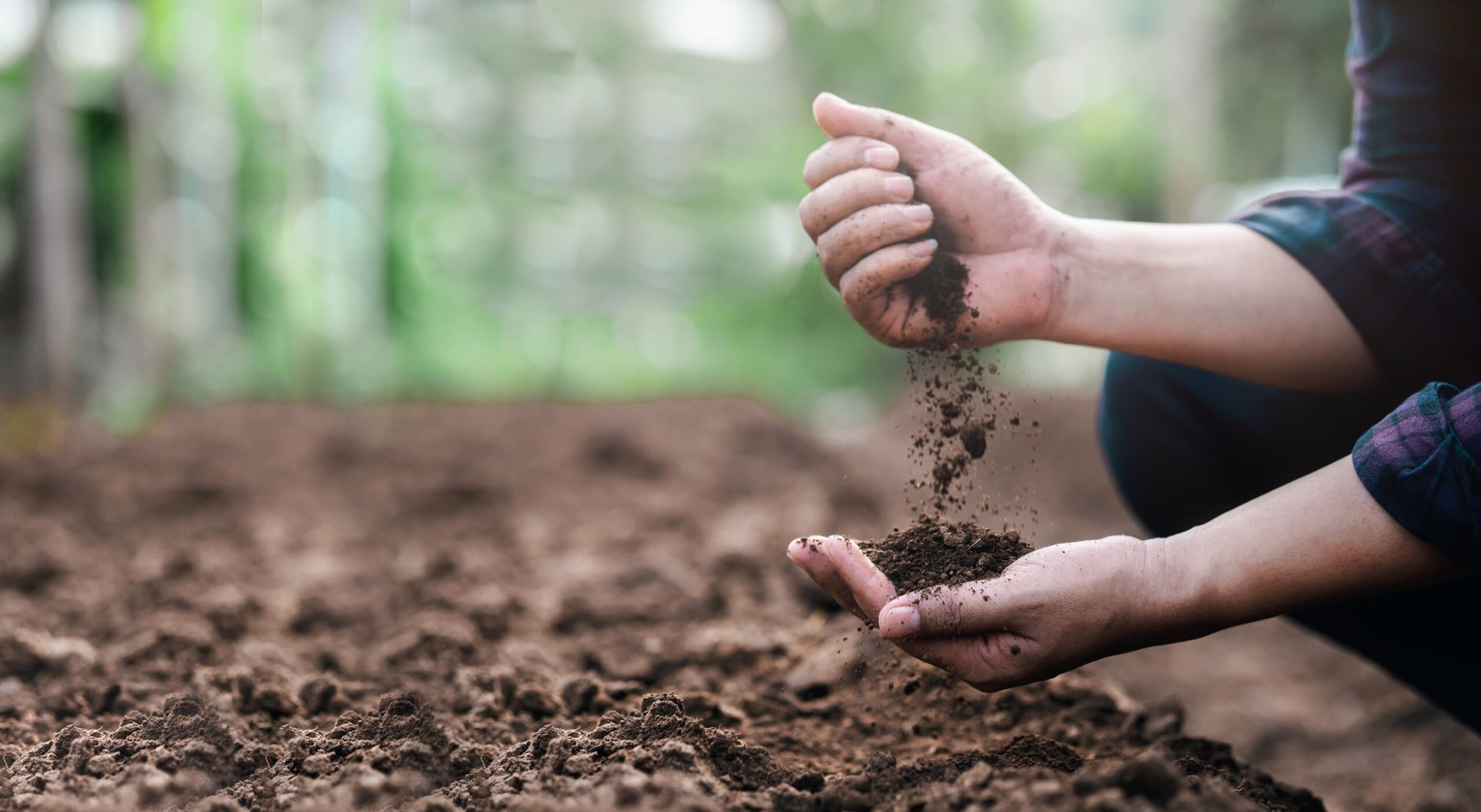 Soil ecoacoustics offers new way to monitor ecosystem health